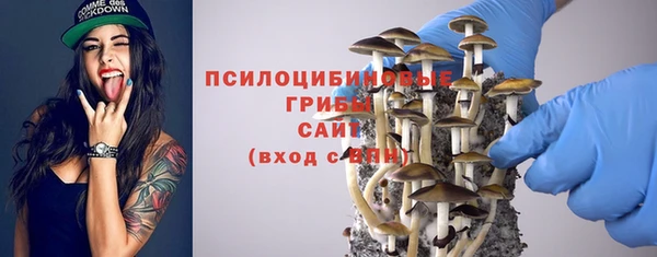 индика Кодинск