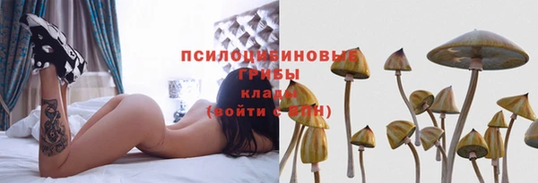 трава Козловка