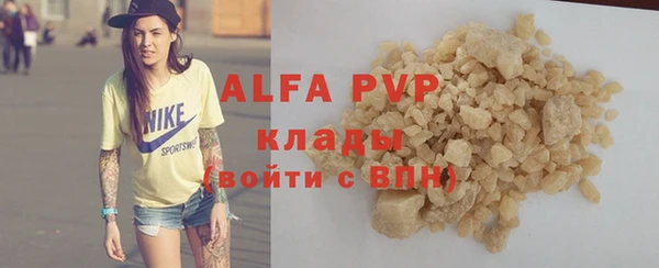 индика Кодинск