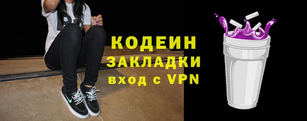 индика Кодинск