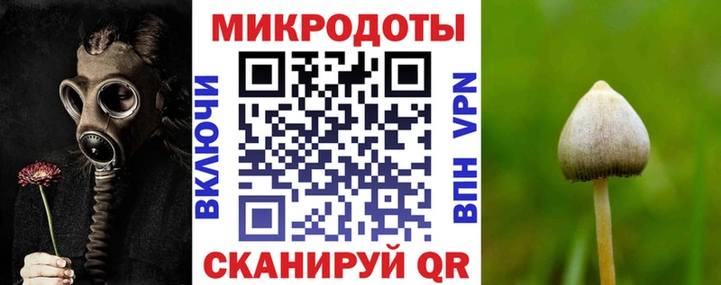 Купить закладки  Исилькуль  Галлюциногенные грибы Psilocybine cubensis 